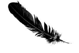 example of feathers