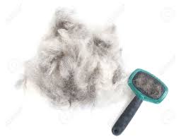 example of fur