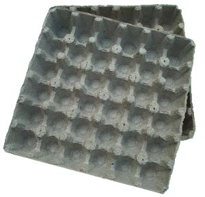 example of egg_cartons_clean