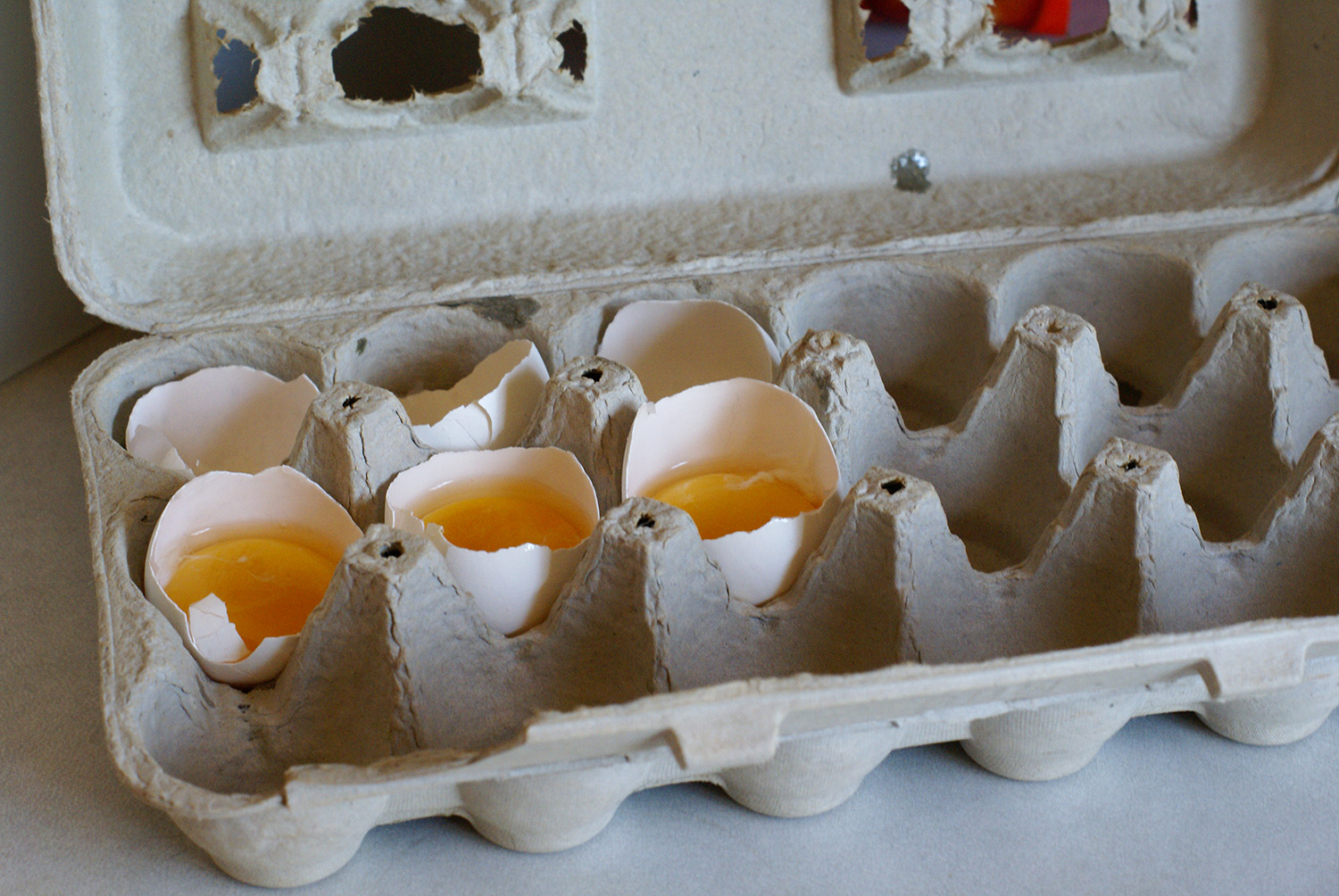 example of egg_cartons_soiled