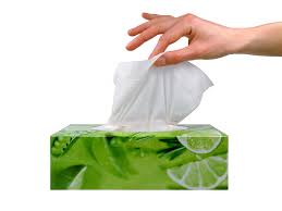 example of tissues