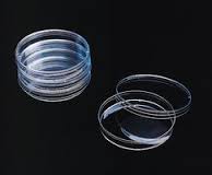 example of other_plastic_lab_items